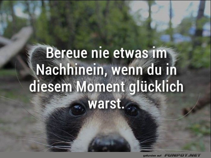 10 schne Sprche und Lebensweisheiten aus...