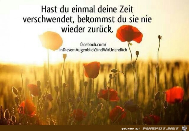 verschwendet verschwendet