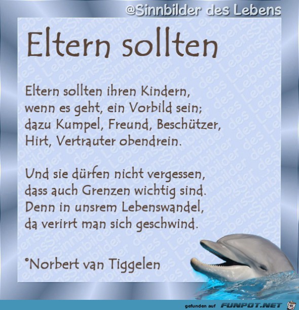 Eltern sollten 