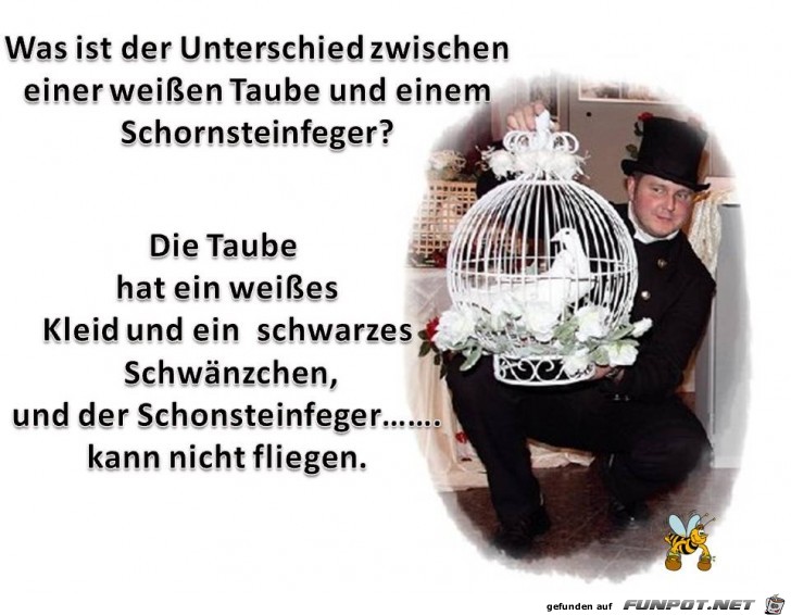 weisse Taube und Schornsteinfeger