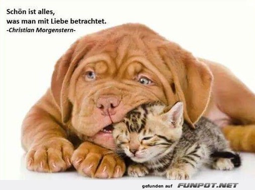 10 schöne Sprüche und Lebensweisheiten aus... 10 schöne Sprüche und Lebensweisheiten aus...