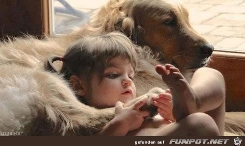 Hundebabysitter