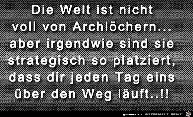 die-welt die-welt