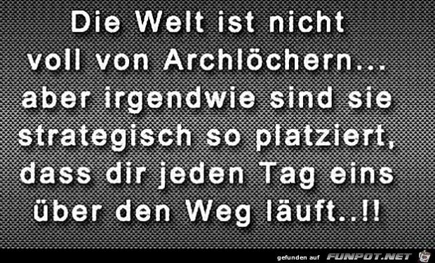 die-welt