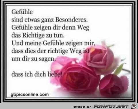 Gefuehle Gefuehle