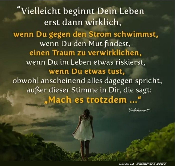 vielleicht beginnt dein Leben vielleicht beginnt dein Leben