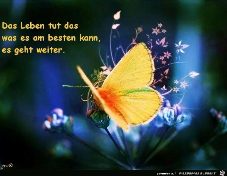 Es geht weiter Es geht weiter