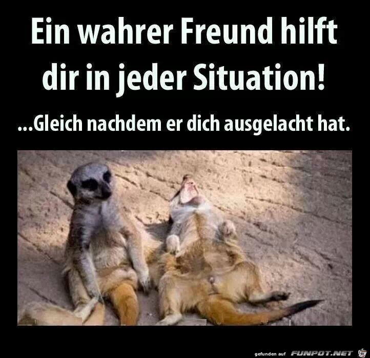 Ein wahrer Freund... Ein wahrer Freund...