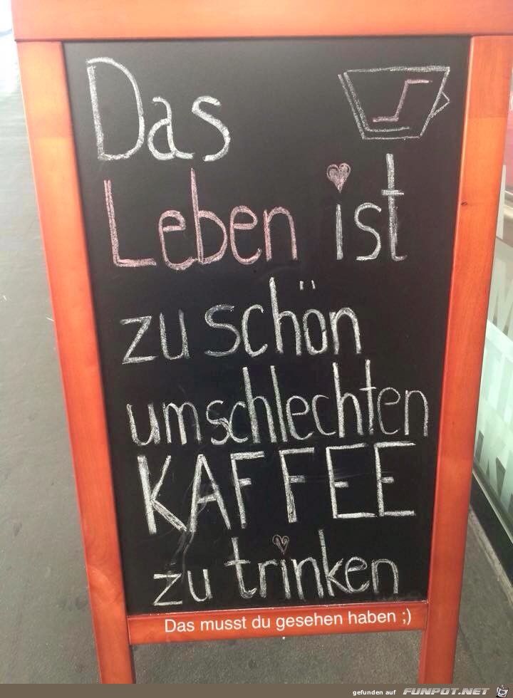 Das Leben ist zu schoen