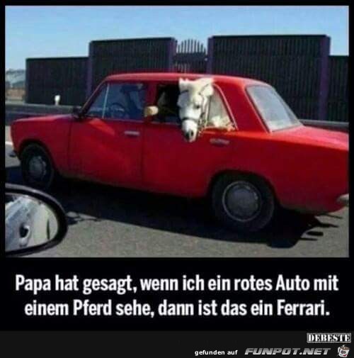 Ferrari Ferrari