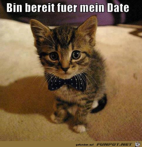 Bin bereit Bin bereit