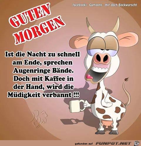 Guten Morgen