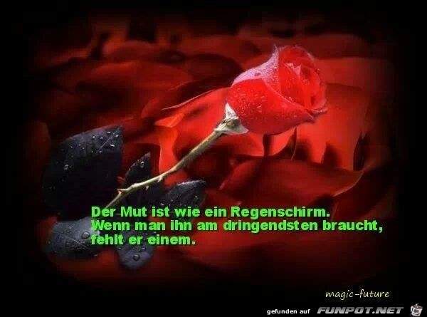 Der Mut ist wie ein Regenschirm... Der Mut ist wie ein Regenschirm...