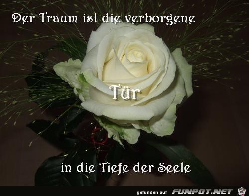 der Traum 