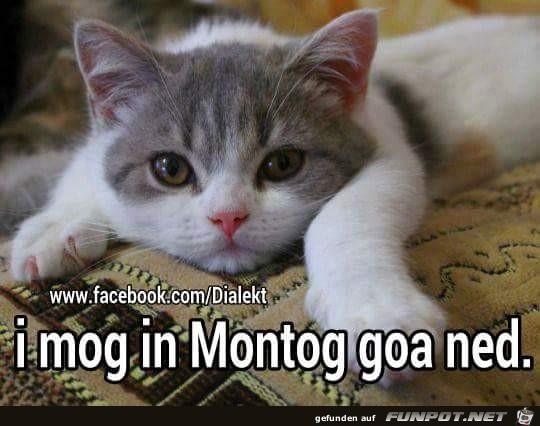 Ich mag Montag gar nicht Ich mag Montag gar nicht