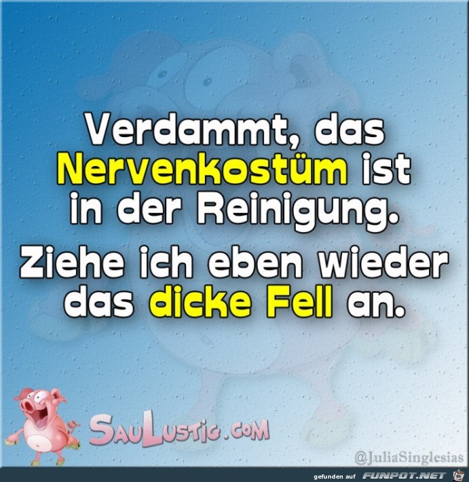 Mein Nervenkostuem Mein Nervenkostuem