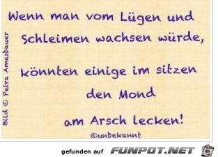 a hamma-spruch