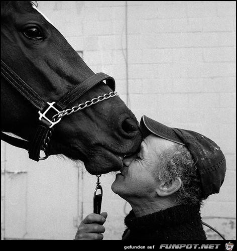 HorseKiss HorseKiss