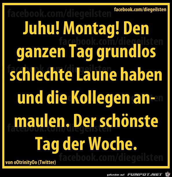 diegeilsten Montag diegeilsten Montag