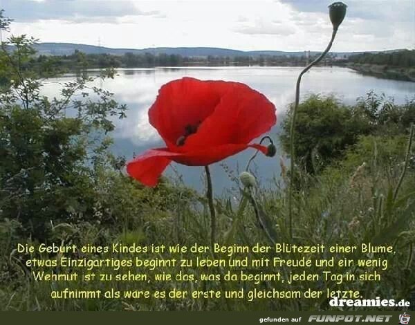 Die Geburt eines Kindes... Die Geburt eines Kindes...
