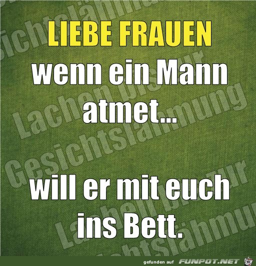 immer