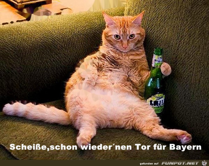 SCH... schon wieder ein Tor... SCH... schon wieder ein Tor...