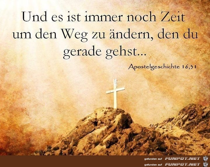 apg 16.51 apg 16.51