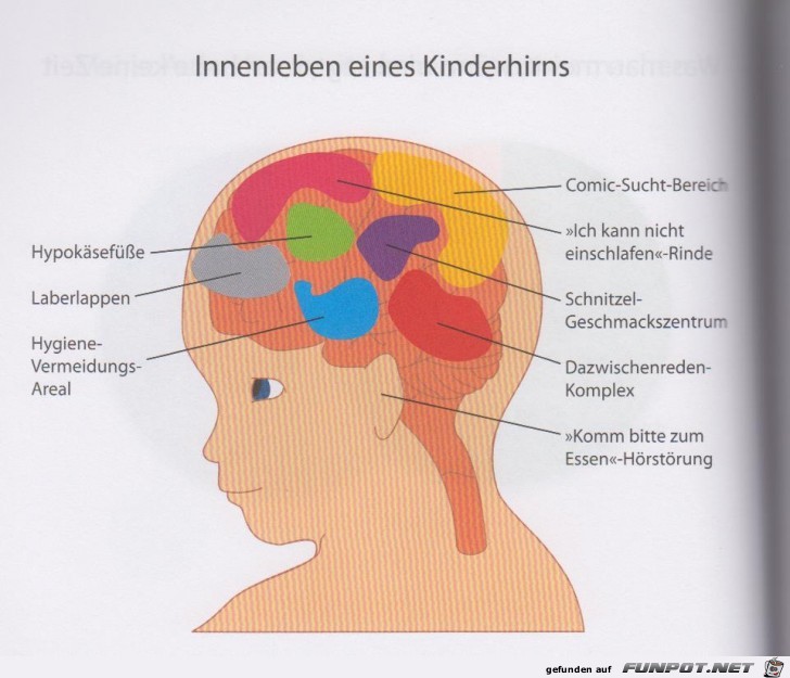 Weltgrafiken214 Kinderhirn Weltgrafiken214 Kinderhirn