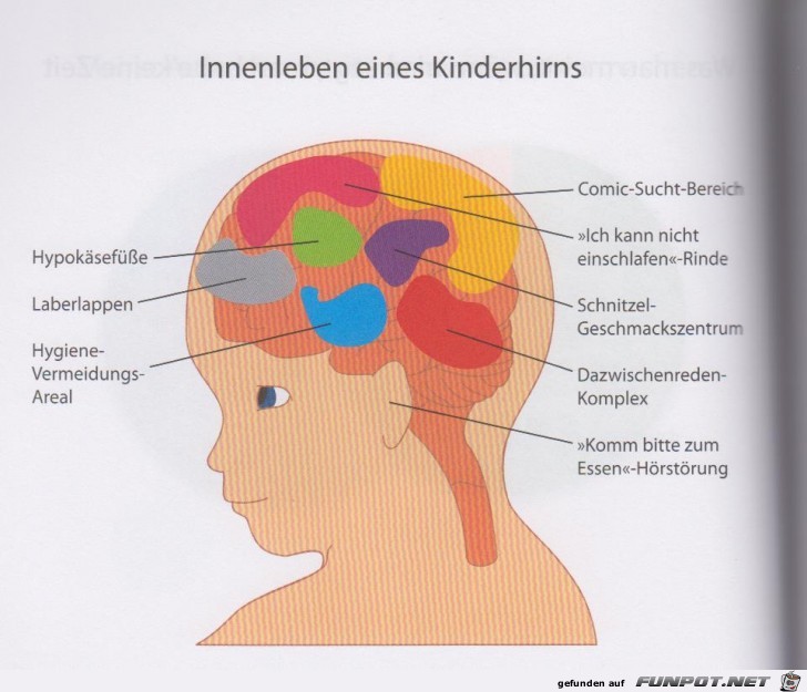 Weltgrafiken214 Kinderhirn