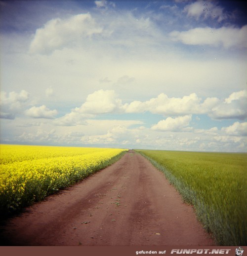 image015 image015
