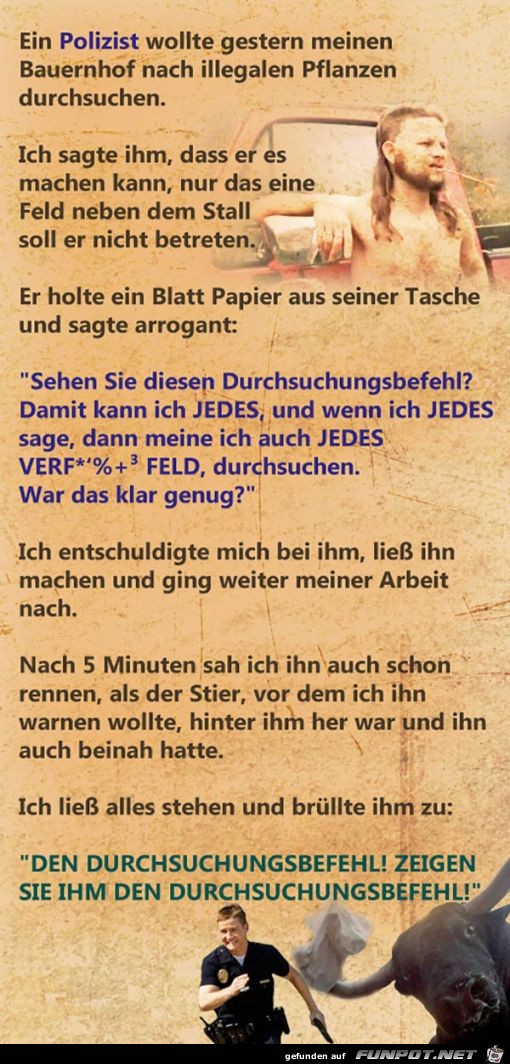 Durchsuchungsbefehl Durchsuchungsbefehl