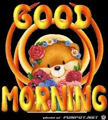 Morning Morning