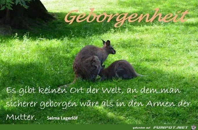 Geborgenheit