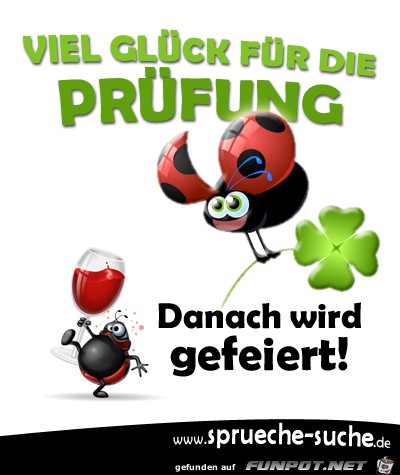 viel-glueck-fuer-die-pruefung-spruch