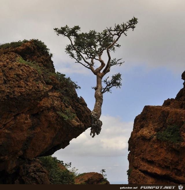 Interessante Naturbilder