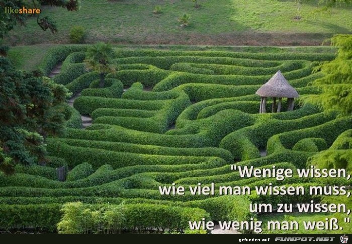 wissen