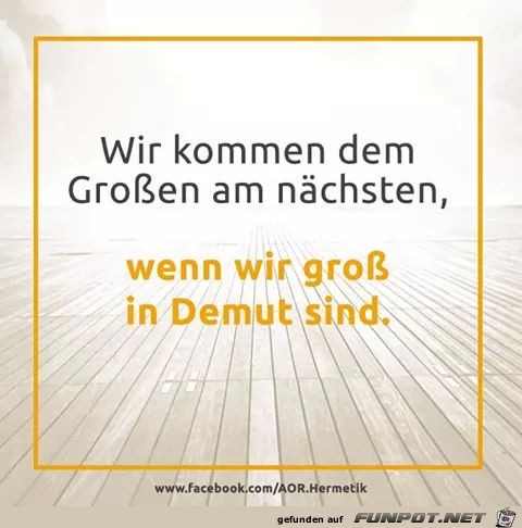 Demut Demut