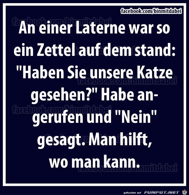 Katze entlaufen Katze entlaufen