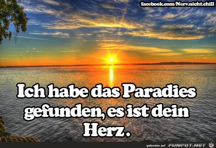 Paradies Paradies