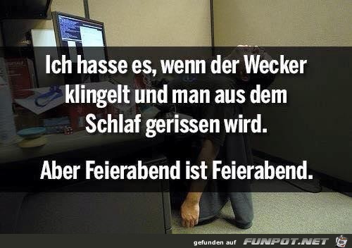 der Wecker der Wecker