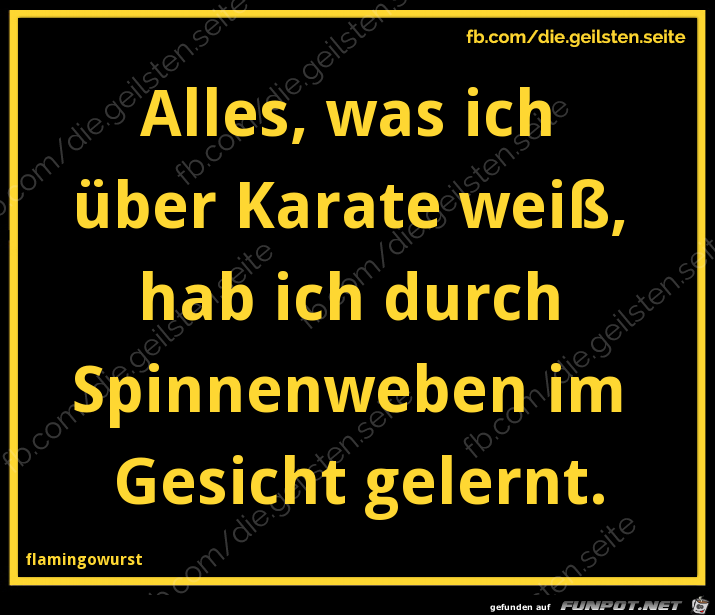 diegeilsten Karate