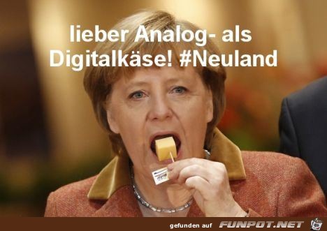 neuland merkel 19 neuland merkel 19