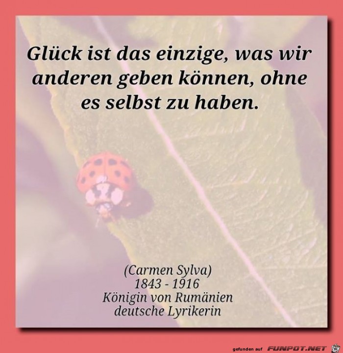 Glueck2