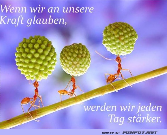 10 schne Sprche und Lebensweisheiten aus...