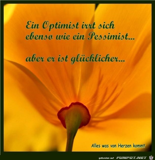 optimist