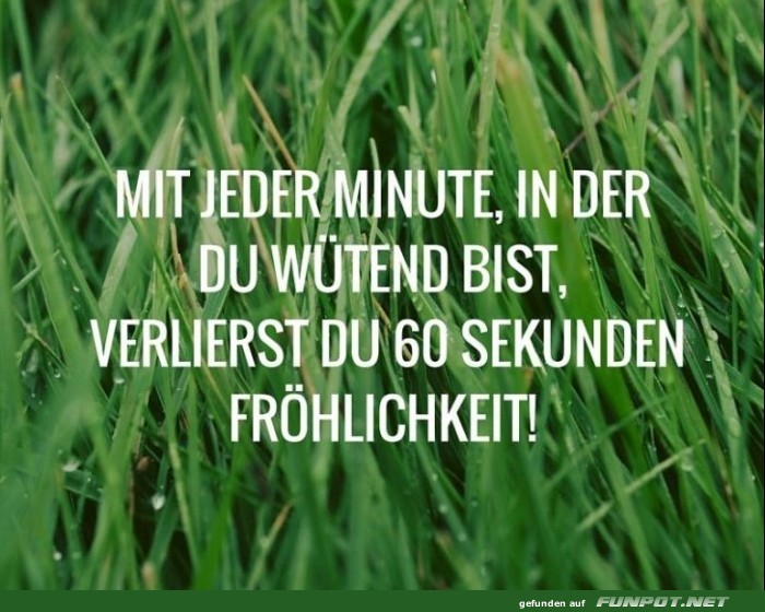 10 schöne Sprüche und Lebensweisheiten aus... 10 schöne Sprüche und Lebensweisheiten aus...
