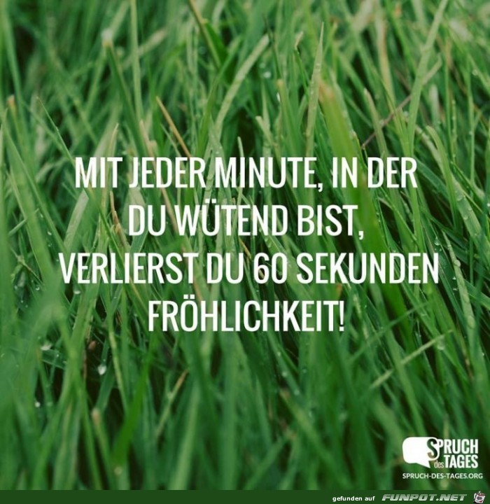 mit-jeder-minute-