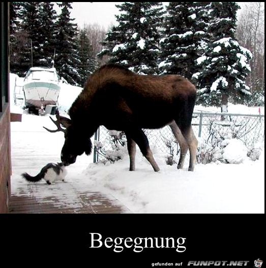 Begegnung Begegnung