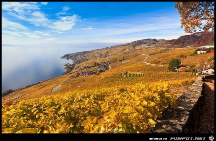 Die schoensten Wein-Gegenden der Welt 15 Die schoensten Wein-Gegenden der Welt 15