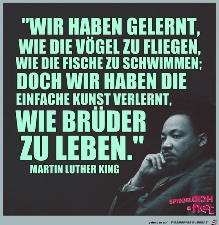 wie Brueder wie Brueder